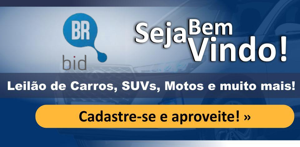 www.brbidleiloes.com